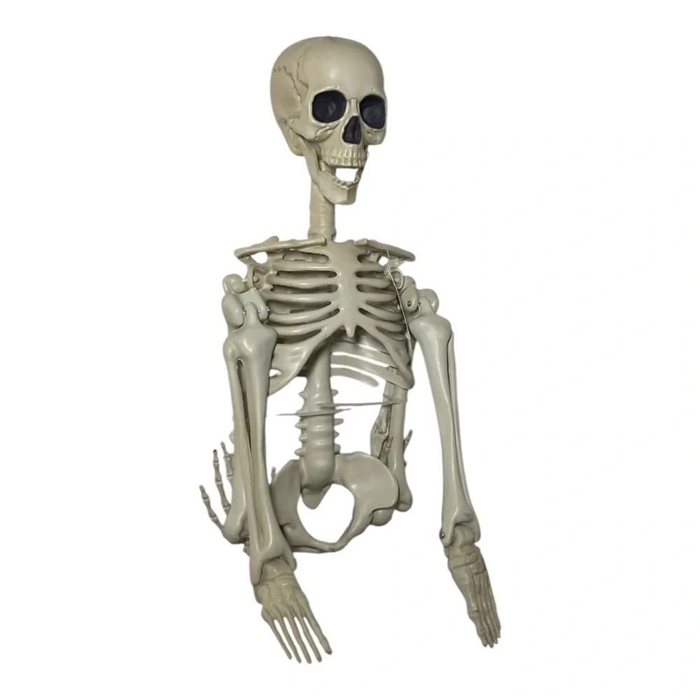 Skeleton Halloween Decoration 32 Inch Hanging Skeleton Decor NWT